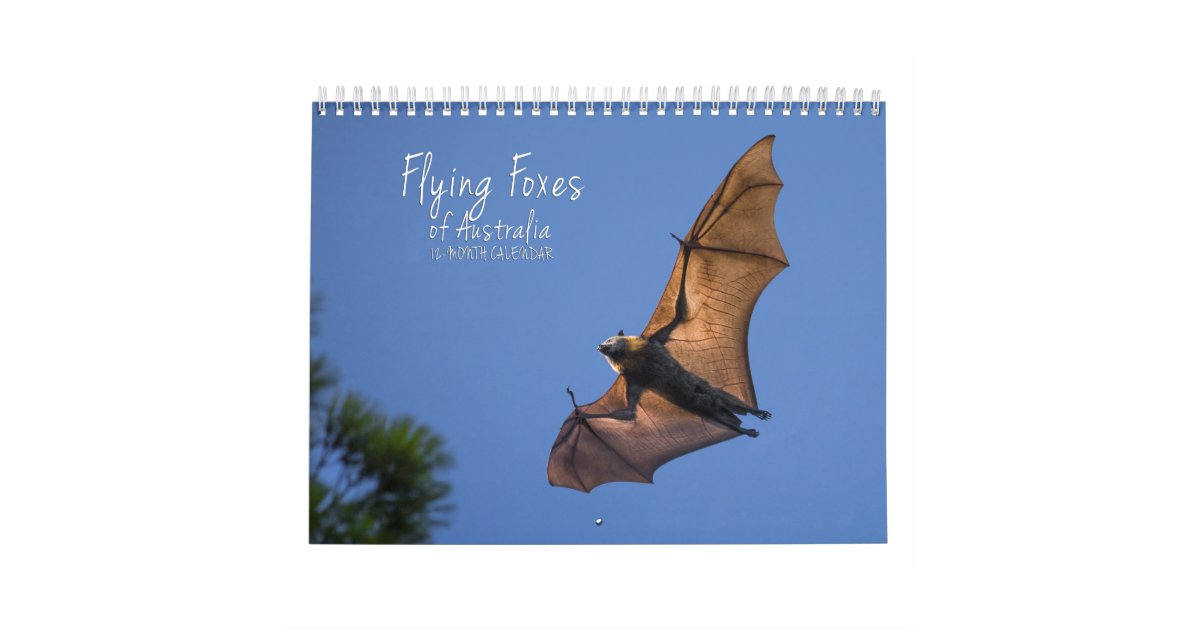 オーストラリアのオオコウモリのこうもりのカレンダー 3つのサイズ カレンダー Zazzle Co Jp