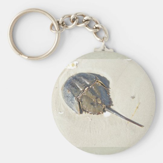 カブトガニkeychain キーホルダー Zazzle Co Jp