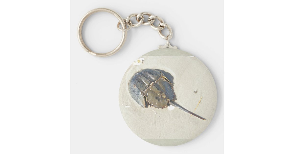 カブトガニkeychain キーホルダー Zazzle Co Jp