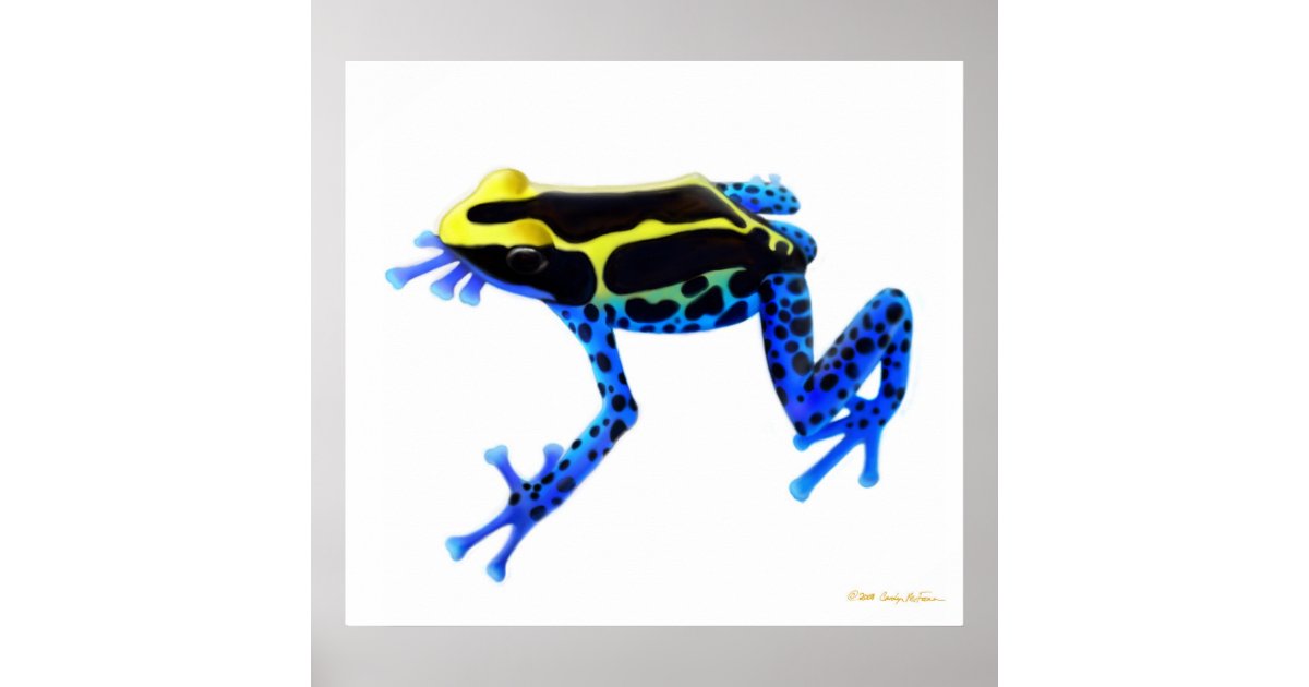 カラフル な カエル Clubjpgazo カラフル な カエル Clubjpgazo