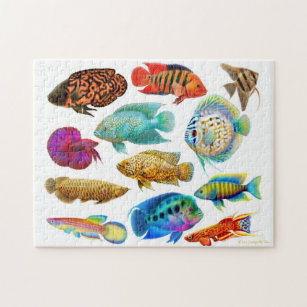 淡水パズル Zazzle.co.jp