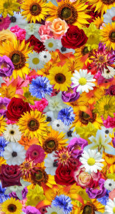 ベスト50 壁紙 Iphone 花 すべての美しい花の画像