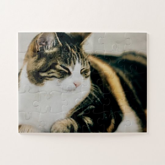カリコキャットスリーピングカームパズル猫好き ジグソーパズル