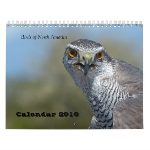 羽カレンダー 壁掛けカレンダー Zazzle Co Jp 羽カレンダー 壁掛けカレンダー Zazzle Co Jp