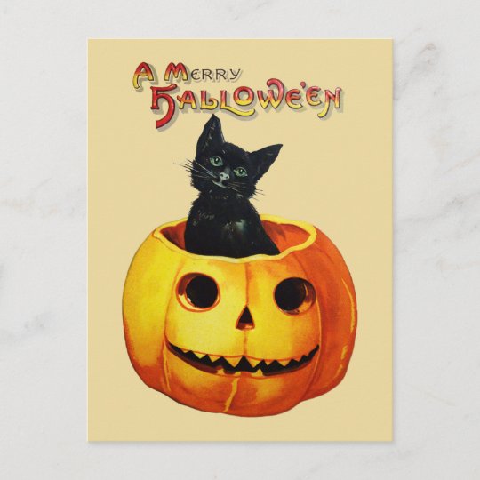 キャットインパンプキンヴィンテージハロウィンはがき ポストカード Zazzle Co Jp