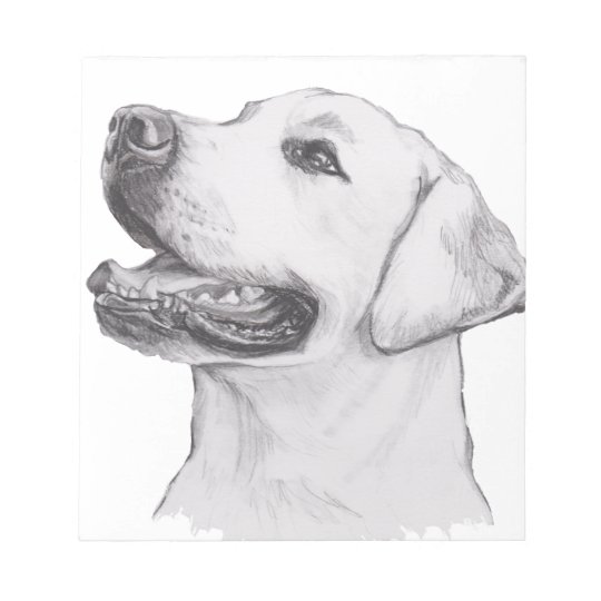 クラシックなラブラドル レトリーバー犬犬のプロフィールのスケッチ ノートパッド Zazzle Co Jp