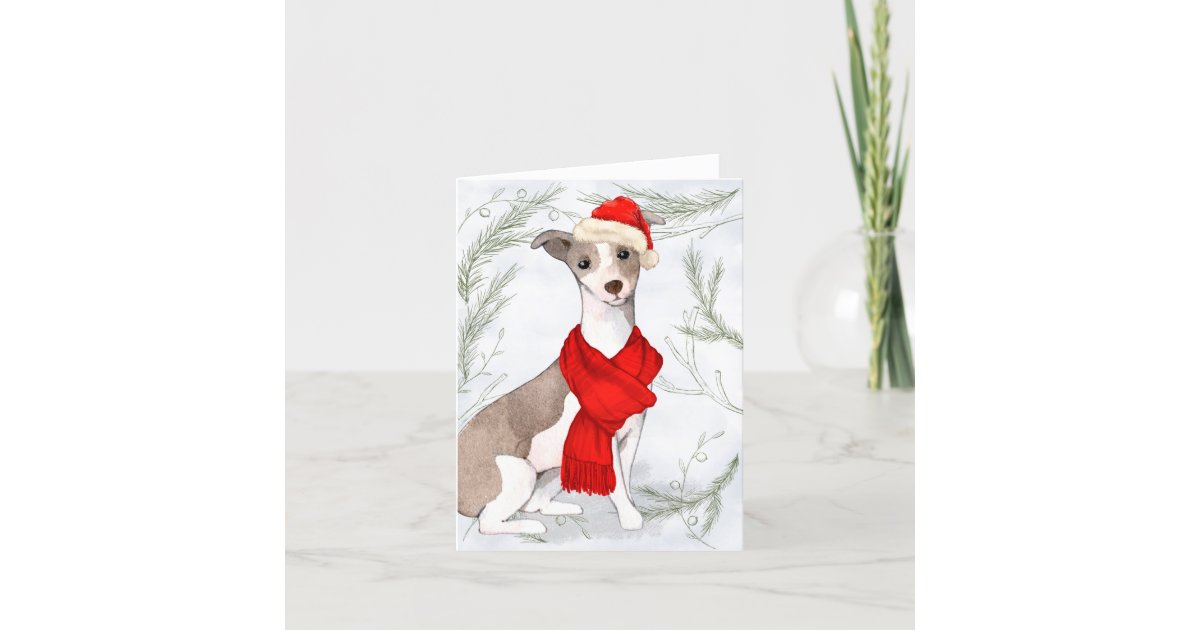 クリスマス グイタリアンレイハウンドと植物性の松 シーズンカード Zazzle Co Jp クリスマス グイタリアンレイハウンドと植物性の松 シーズンカード Zazzle Co Jp