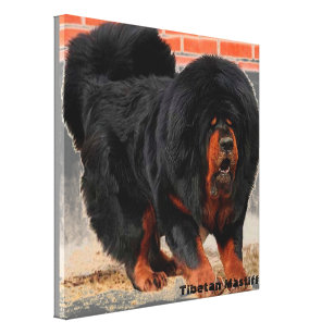 チベタン マスティフアート Zazzle Co Jp