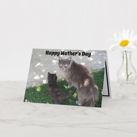 グレーの母猫と黒猫が母の日を楽しむ カード Zazzle Co Jp