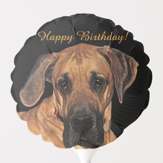 グレートデーン犬の誕生日動物の気球 バルーン Zazzle Co Jp