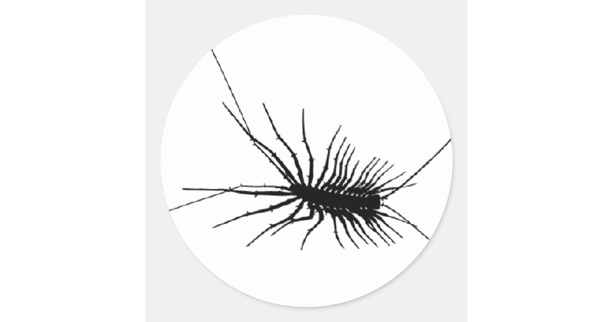 ゲジの黒の恐い虫の昆虫の総体の大きい ラウンドシール Zazzle Co Jp