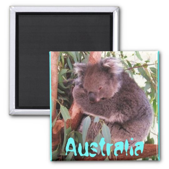 コアラのオーストラリアのおもしろいでかわいい磁石 マグネット Zazzle Co Jp