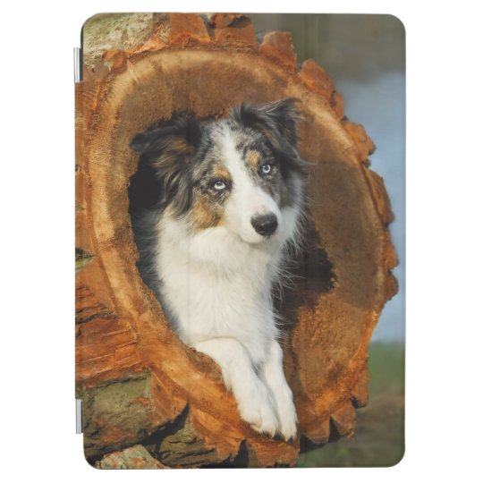 コリ縁どーブルーマールドッグかわいいポートレート写真 Ipad Air カバー Zazzle Co Jp