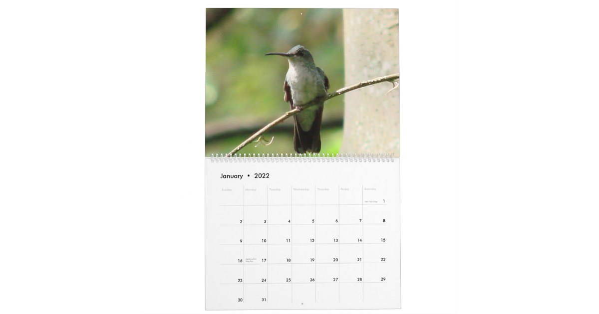 コロンビアのハチドリ カレンダー Zazzle Co Jp コロンビアのハチドリ カレンダー Zazzle Co Jp