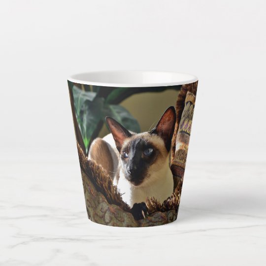 コンフィー枕にアザラシの猫 カフェラテマグ Zazzle Co Jp