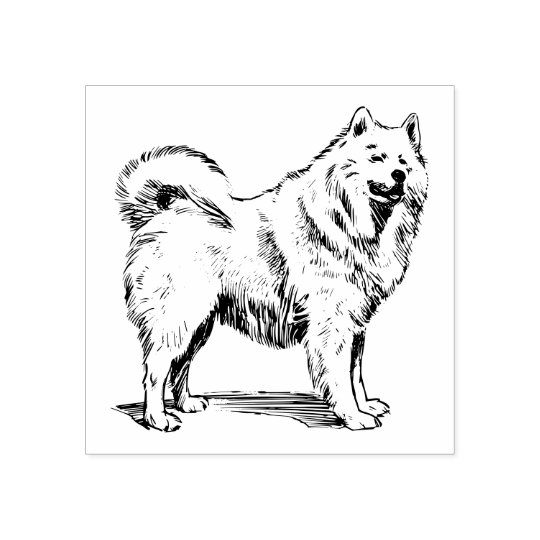 サモイド犬種 ラバースタンプ Zazzle Co Jp サモイド犬種 ラバースタンプ Zazzle Co Jp