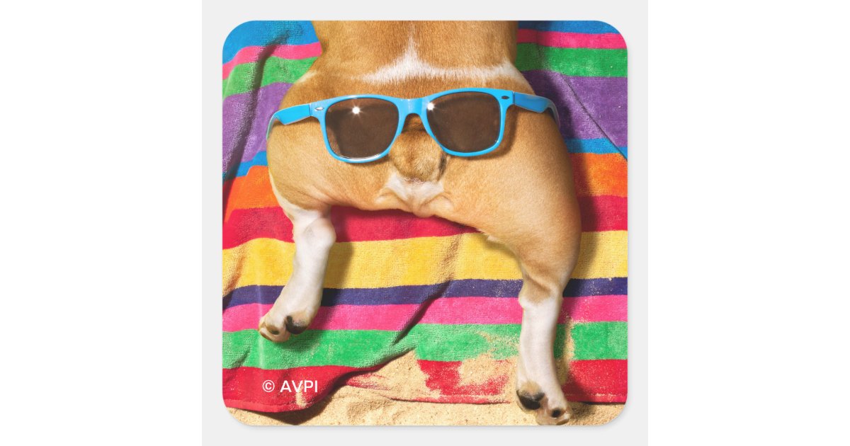 サングラス付き犬お尻 スクエアシール Zazzle Co Jp サングラス付き犬お尻 スクエアシール Zazzle Co Jp