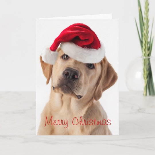 サンタの帽子のクリスマスカードを持つかわいいイエロー ラブラドール レトリーバー犬 シーズンカード Zazzle Co Jp
