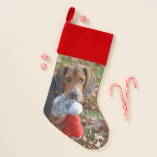 ビーグル 犬 犬クリスマスストッキング Zazzle Co Jp