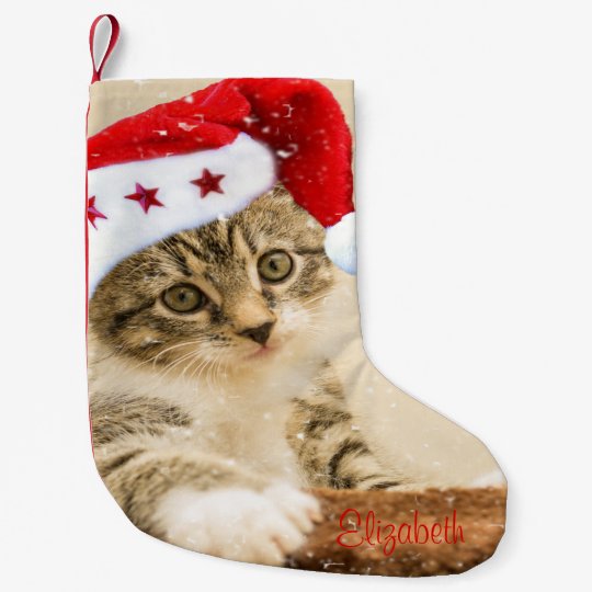 サンタハお洒落ットのかわいい猫 スモールクリスマスストッキング Zazzle Co Jp