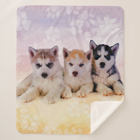 シベリアンハスキーの子犬 シェルパブランケット Zazzle Co Jp シベリアンハスキーの子犬 シェルパブランケット Zazzle Co Jp