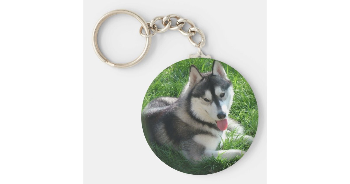 シベリアンハスキー犬keychain キーホルダー Zazzle Co Jp