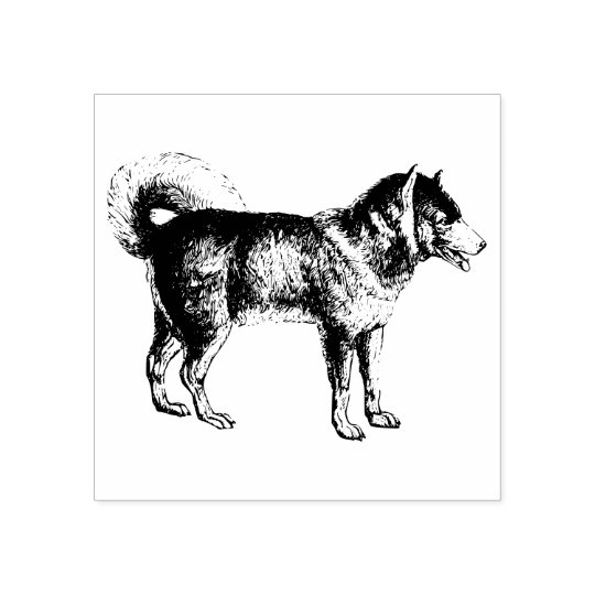 シベリアン ハスキー犬種 ラバースタンプ Zazzle Co Jp シベリアン ハスキー犬種 ラバースタンプ Zazzle Co Jp