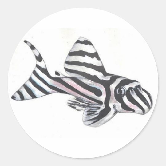 シマウマのpleco L46のナマズのステッカー ラウンドシール Zazzle Co Jp