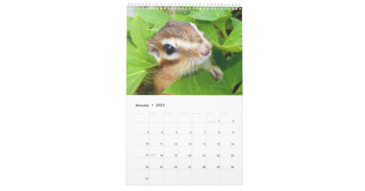 シマリスの写真 4 カレンダー Zazzle Co Jp シマリスの写真 4 カレンダー Zazzle Co Jp