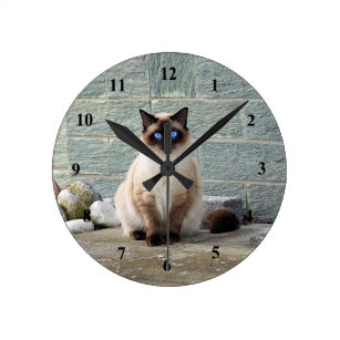 話題の行列 シャム猫の壁掛時計 粘土 陶土 土類 Www Ntfw Org