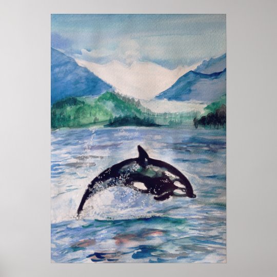 シャチ クジラの水彩画のスケッチの価値ポスター ポスター Zazzle Co Jp