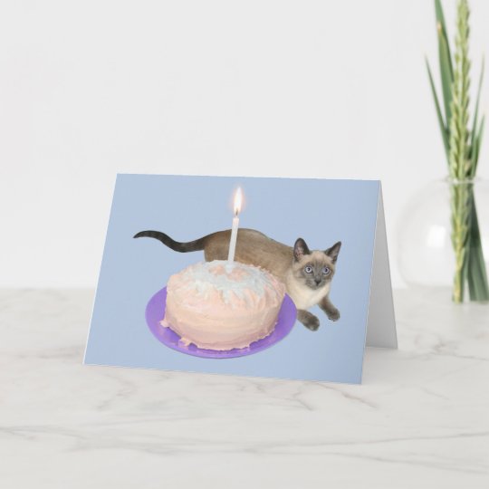 シャムキャットウィズお誕生日ケーキ カード Zazzle Co Jp