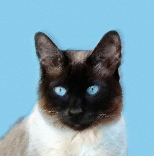 シャム 猫ジュエリー Zazzle Co Jp シャム 猫ジュエリー Zazzle Co Jp