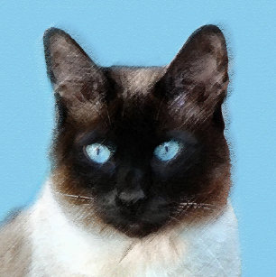 シャム 猫ジュエリー Zazzle Co Jp シャム 猫ジュエリー Zazzle Co Jp