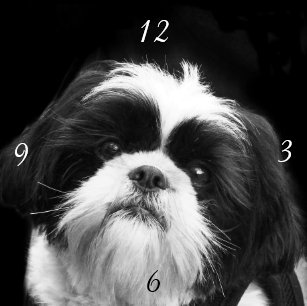 シーズー 犬 時計ギフト ギフトアイデア Zazzle Co Jp