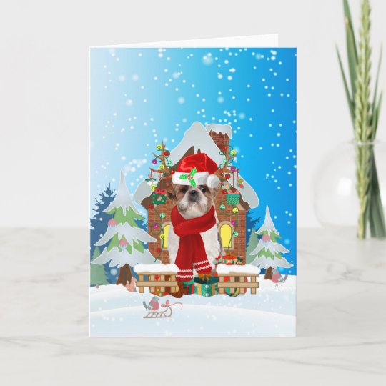 シーズー 犬 ツー 雪の中にクリスマスプレゼント カード Zazzle Co Jp