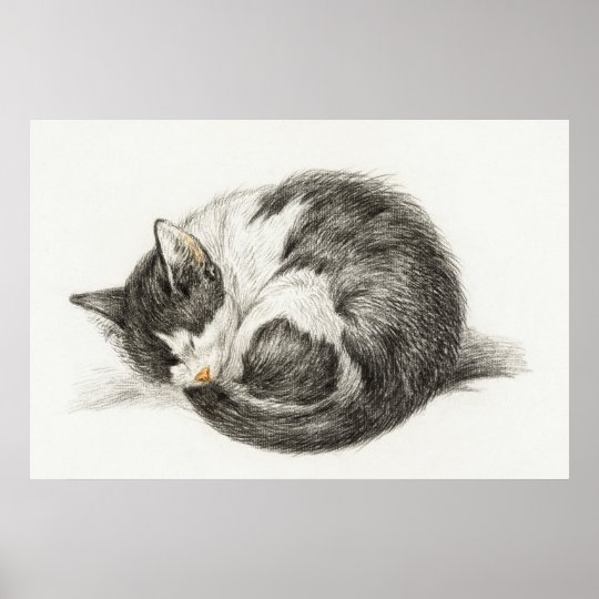ジャン バーナードの横たわった眠り猫 ポスター Zazzle Co Jp