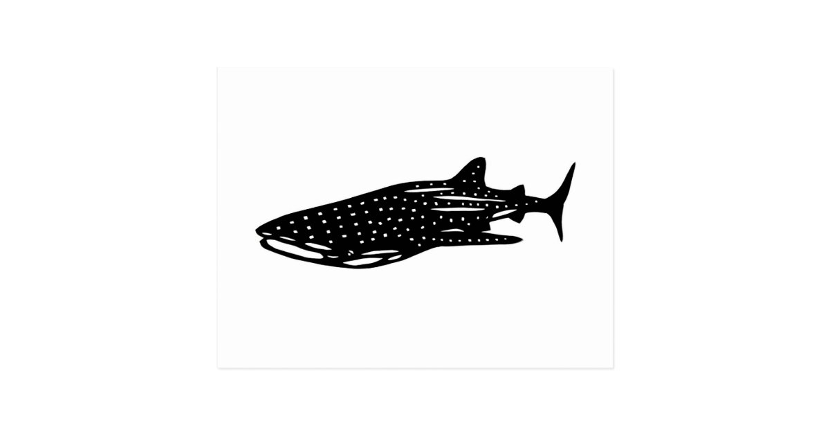 ジンベイザメ Whale Shark Rhincodon Typus 切り絵 ポストカード Zazzle Co Jp