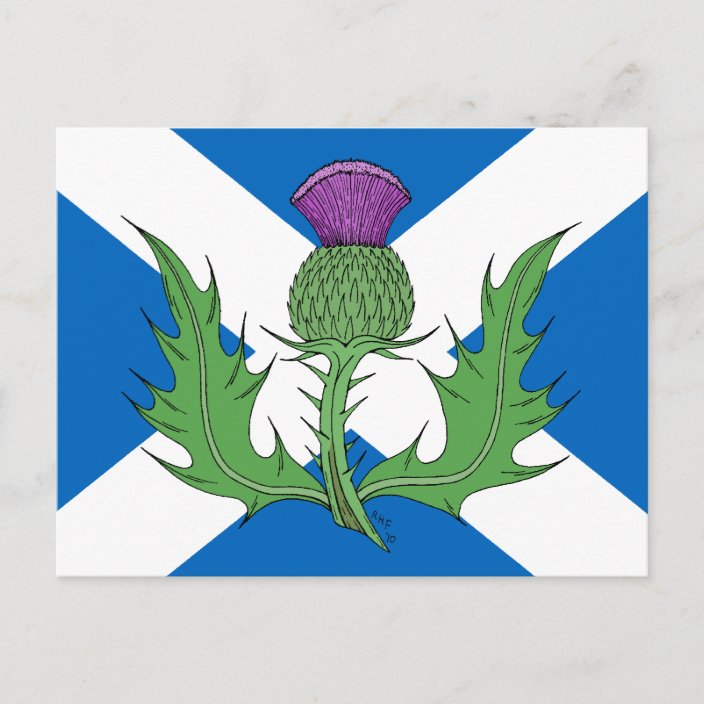 スコットランドのアザミとサルタイヤ ポストカード Zazzle Co Jp