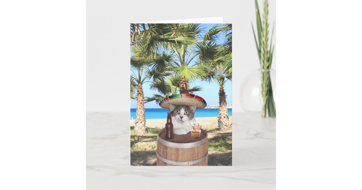 スペイン語のおもしろいな猫の誕生日メッセージ カード Zazzle Co Jp スペイン語のおもしろいな猫の誕生日メッセージ カード Zazzle Co Jp