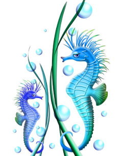 タツノオトシゴポストカード Zazzle Co Jp