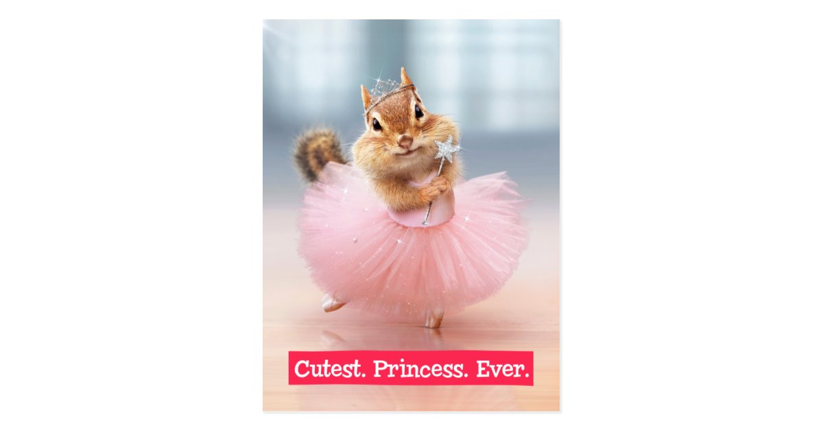 ダンスのスタジオのチュチュのかわいいシマリスのバレリーナ ポストカード Zazzle Co Jp ダンスのスタジオのチュチュのかわいいシマリスのバレリーナ ポストカード Zazzle Co Jp
