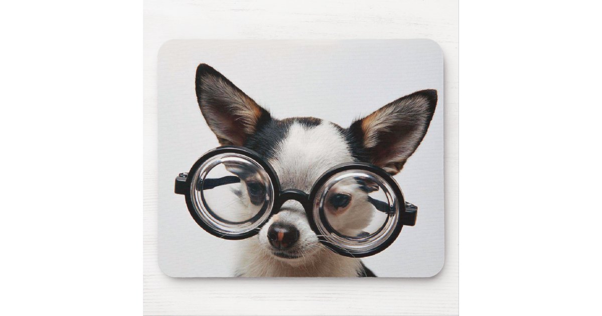 チワワガラス 犬の接眼レンズ マウスパッド Zazzle Co Jp