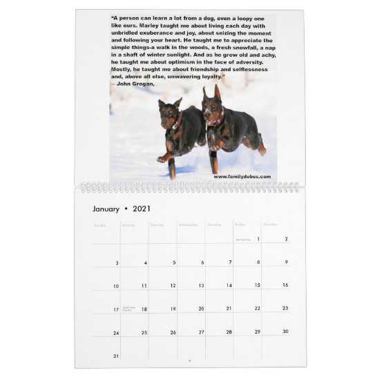 ドーベルマン犬のミームのカレンダー カレンダー Zazzle Co Jp
