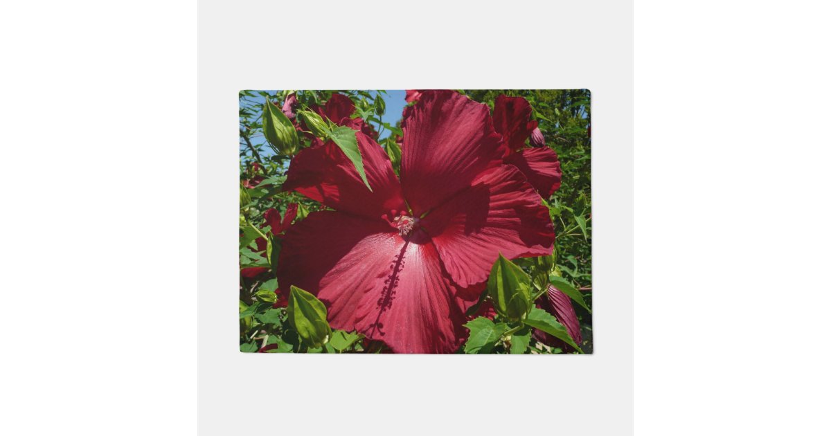 ハイビスカスフラワー ブルースカイサマー自然写真 ドアマット Zazzle Co Jp ハイビスカスフラワー ブルースカイサマー自然写真 ドアマット Zazzle Co Jp