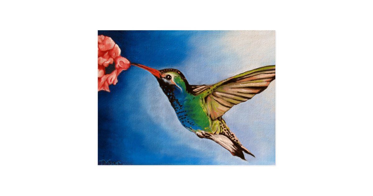 ハチドリの油絵 ポストカード Zazzle Co Jp ハチドリの油絵 ポストカード Zazzle Co Jp