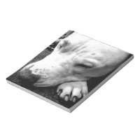 ハリーポッターの傷跡の犬の白いピットブル ノートパッド | Zazzle.co.jp