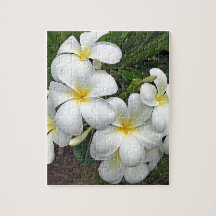 ハワイのプルメリアの花 ジグソーパズル Zazzle Co Jp