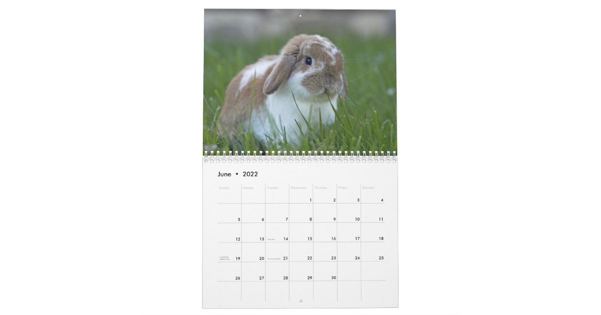 バニーかわいいバニーウサギの16年 12か月 カレンダー Zazzle Co Jp バニーかわいいバニーウサギの16年 12か月 カレンダー Zazzle Co Jp