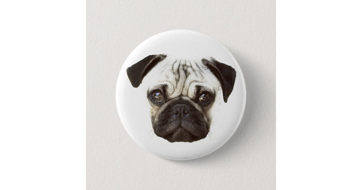 パグの顔 缶バッジ Zazzle Co Jp パグの顔 缶バッジ Zazzle Co Jp